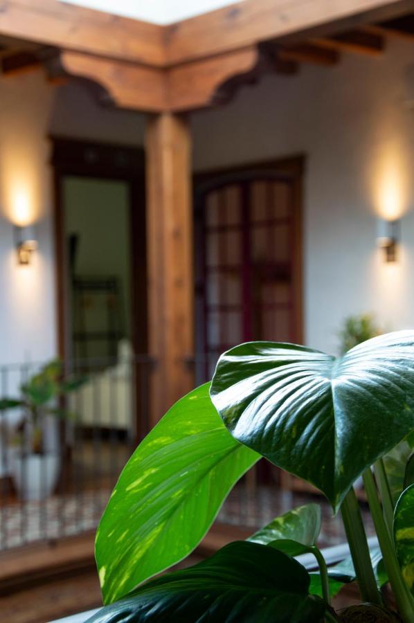 La Casa Del Medico Hosteria Rural Urda エクステリア 写真